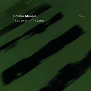 The jewel in the lotus